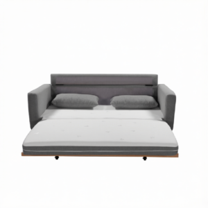 SHASA 2 Seater Pull-out Sofa bed