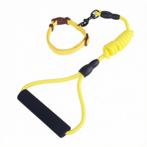 Zichen Dog Nylon Running Leash Collar Set 1.2 Round Rope +2.5 collar