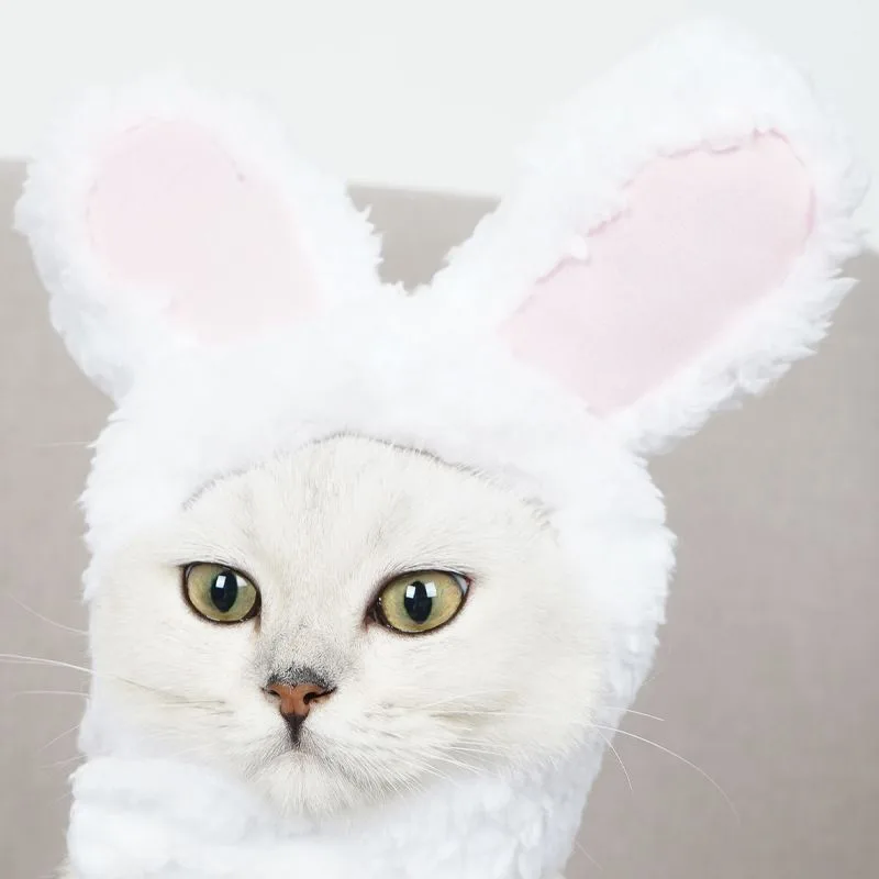 4 Pcs Adorable Bunny Ears Cat Hat