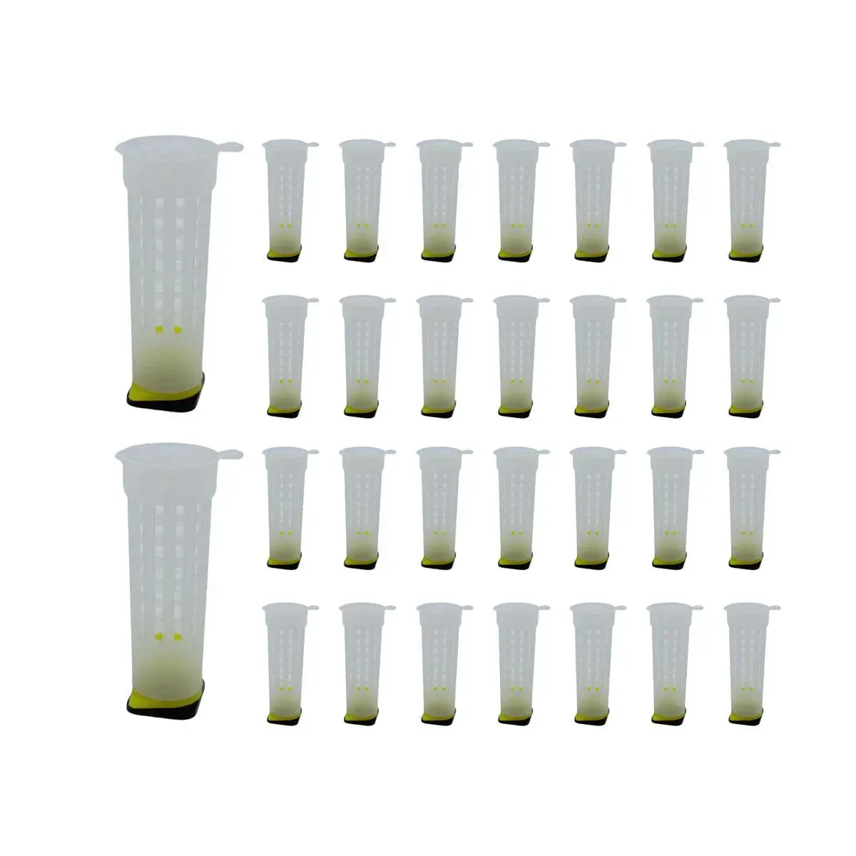 30pcs Bee Protective Covers Multi Functional King Cage Bee Bite Protector Shield