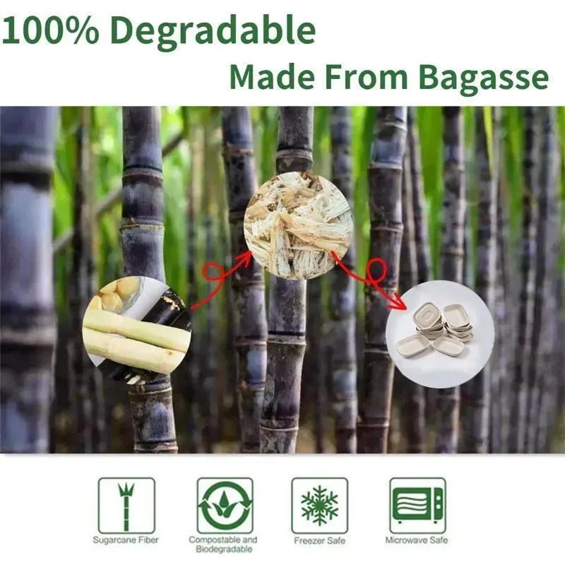 100X Food Preparation Burger Storages Cake Packaging Box Lunch Boxes - 1300ml-Primary