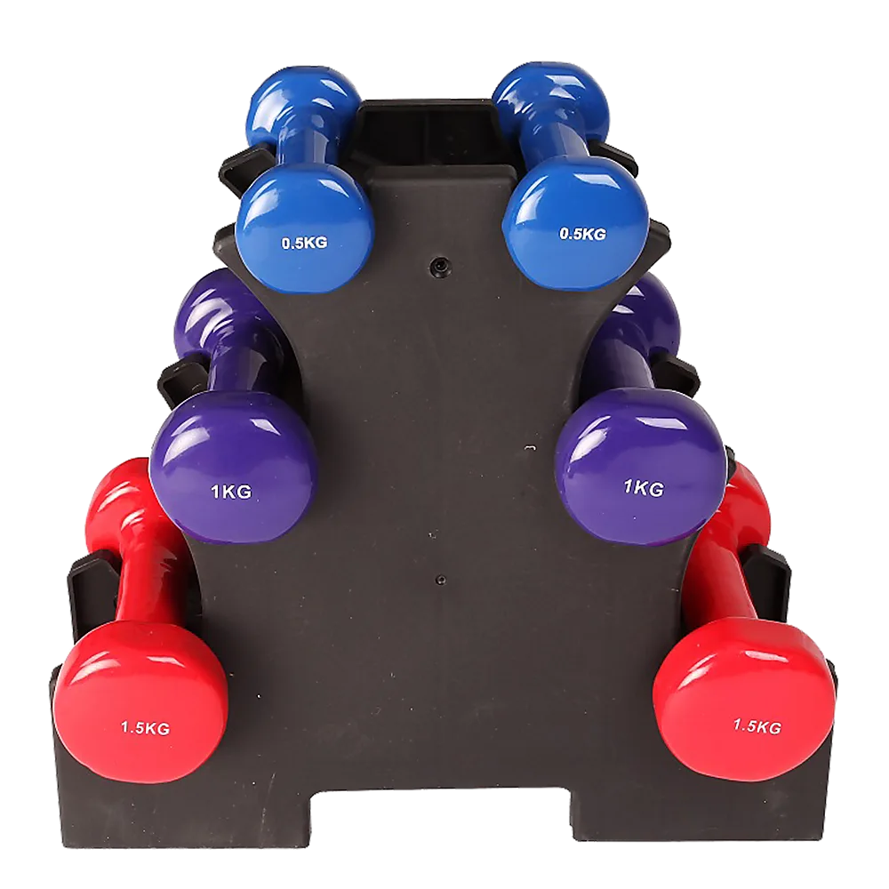 6-Piece Dumbbell Set with Storage Rack for Home Gym Training