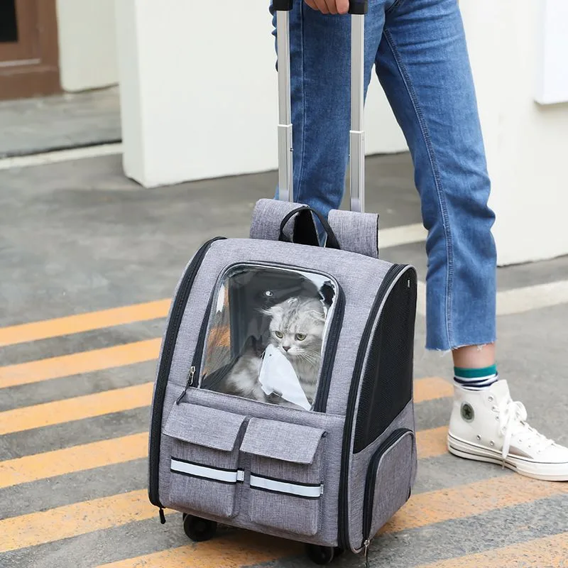 3-in-1 Pet Carrier: Rolling Backpack with Collapsible Design