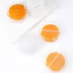 1 Piece Yellow Beeswax Thread Conditioner, Sewing Wax with Storage Box for Quilting Hand Sewing and Reinforcing Thread