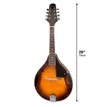 Karrera Traditional Mandolin – Sunburst