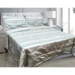 Hotel Living 3 Pce Light Weight Comforter Set Queen/King Oscar