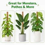 4Pack 24in Coir Moss Poles for Climbing Indoor Plants like Monstera, Pothos, and Philodendron(Brown)