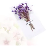 6PCS Folded Greeting Invitation Card with Dried Flowers, Purple Paper Cards for Writing Blessings