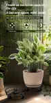 Black Round Wheel Plant Caddy