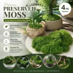 Dark Green Tiny Artificial Thread Moss Terrarium Craft Kit 4 Pack 10g