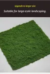 diy artificial moss lawn-New moss (light green thread style) 1m × 1m