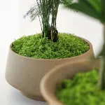 30g Dark Green Artificial Moss-2Pcs