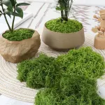 30g Dark Green Artificial Moss-2Pcs