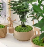 30g Light Green Artificial Moss-2Pcs