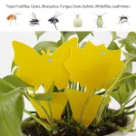 20-pack Fly Trap Flycatchers, Effective Butterfly Control