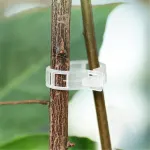 200 Pack Plant Support Clips
