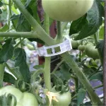 200 Pack Plant Support Clips