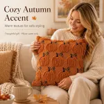 2 Pack Pumpkin Cushion Covers Caramel Autumn Decorative Pillow Cases for Sofa Couch Fall Decoration, 45×45 cm
