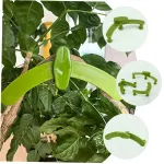 5pcs Bonsai Plant Plastic Plants Bonsai Tools Fruit Tree Branch Benders Garden Plant Supporting Plant Growth Bender Plastic