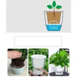 Water Absorption Planter Pot Transparent Resin for Safe Planting