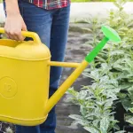 2Pcs Green Bottle Sprinkler Nozzle for Watering Cans Compatible with 7 to10L Capacity