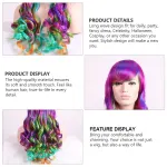 1Set Clown Wigs Design Assorted Color Hair Accessory