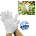 6 Pairs Handling Work Hands Protector Soft Costume Jewellery Cotton White Gloves – M