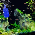 10Pcs Air Stone Aerator Diffusers for Aquarium Oxygen Bubbles – Black