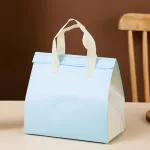50PCS Blue Takeaway Packaging Bags with Handles and Self-Adhesive Seal – M