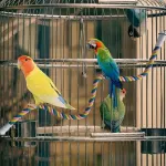U Shaped Parrot Cotton Rope Climbing Toy Perch Stand for Bird Cage – 100cm