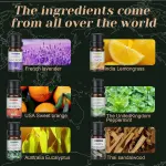 Essential Oil Set 6 Bottles Natural Aromatherapy Oils for Relax and Massage