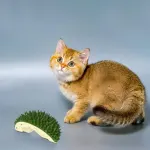 Durian Rubbing Comb for Cats Grooming Massage Tool Pet Hair Comb for Shedding – Green