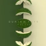 Durian Rubbing Comb for Cats Grooming Massage Tool Pet Hair Comb for Shedding – Green