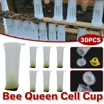 30pcs Bee Protective Covers Multi Functional King Cage Bee Bite Protector Shield