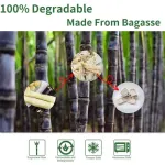 100X Food Preparation Burger Storages Cake Packaging Box Lunch Boxes – 1300ml-Primary