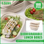 100X Food Preparation Burger Storages Cake Packaging Box Lunch Boxes – 1300ml-Primary