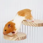 Hamster Parrot Play Stand Jump Platform Squirrel Cage Accessories Gear Pet Toy – A2111 (15*7.5*1.5cm)