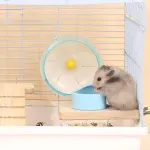 Hamster Parrot Play Stand Jump Platform Squirrel Cage Accessories Gear Pet Toy – A2111 (15*7.5*1.5cm)