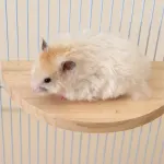 Hamster Parrot Play Stand Jump Platform Squirrel Cage Accessories Gear Pet Toy – A2111 (15*7.5*1.5cm)