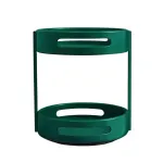 2 Layer Rotating Seasoning Rack Kitchen Organiser Storage Stand