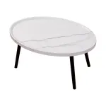 Oval Coffee Table Mid Century Modern Minimalist Display