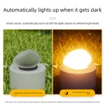 Light – Outdoor LED Rock Lamp with Solar Panel, Waterproof Landscape Lighting – Colored light