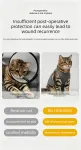 Kg) – Modal Stretch Post Surgery Bodysuit, Breathable Abdominal Coverage and Anti Licking Clothing for Cats and Dogs – Purple