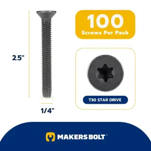 1/4 x 2-1/2″ Trailer Deck Screws (100 pcs) T-30 Star Drive, Black Phosphate and Oil, Type F Thread Cutting Wood and Metal for Floorboards by Makers Bolt