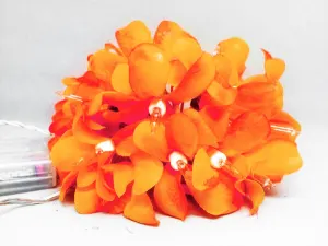 1 Set of 20 LED Frangipani Flower Battery String Lights Christmas Gift Home Wedding Party Decoration Outdoor Table Garland Wreath – Orange