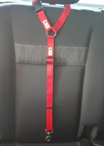Dog Seatbelt Headrest Restraint Safety Travel – Moondidley Pets – Red
