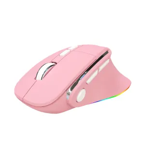 Ergonomic Vertical Wireless Mouse - Dual Mode (2.4G + Bluetooth), RGB Light, Rechargeable 500mAh Battery