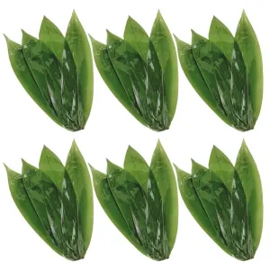 Bamboo Leaves for Zongzi Dark Green Natural Design Kitchen Decoration 50Pcs