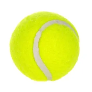 6-Pack 2inch Yellow Dog Tennis Balls