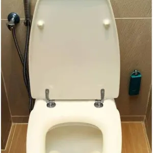 2 Pack Toilet Seat Hinges Replacement with Zinc Alloy Fixings